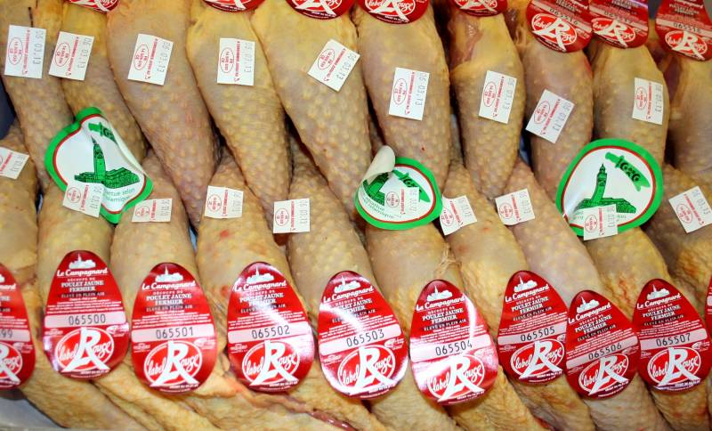 CUISSES DE POULET FERMIÈRE BLANCHE OU JAUNE HALAL