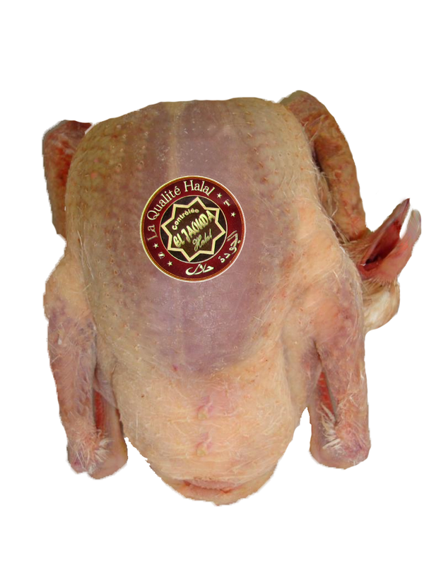 ou trouver des pigeons pour vendre en boucherie halal sur Paris et en Bretagne