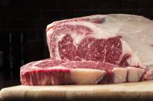 Notre zone d'activité pour ce service Distributeur poulet halal élaboré